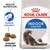 ROYAL CANIN® Indoor Long Hair 10kg
